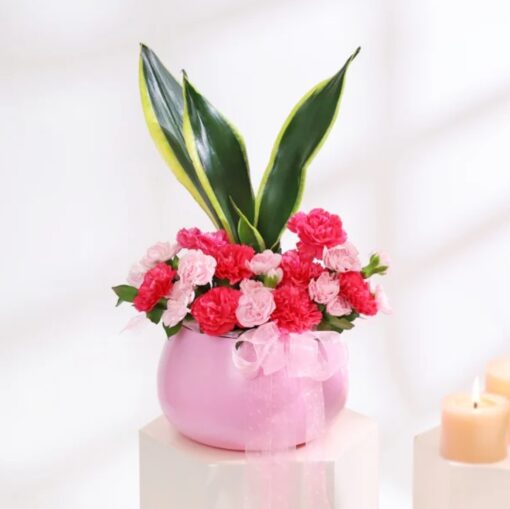 Carnation and Snake Harmony featuring bright carnations paired with a tall, green snake plant in a stylish pot