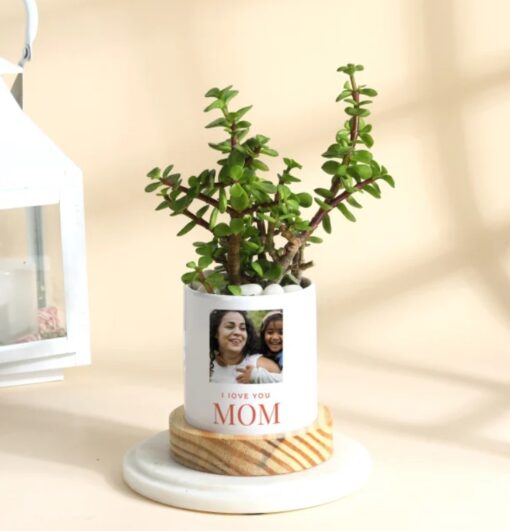 Personalized Mom's Jade Plant featuring a lush jade plant in a custom-engraved ceramic planter, symbolizing prosperity and love, perfect for a unique Mother’s Day gift