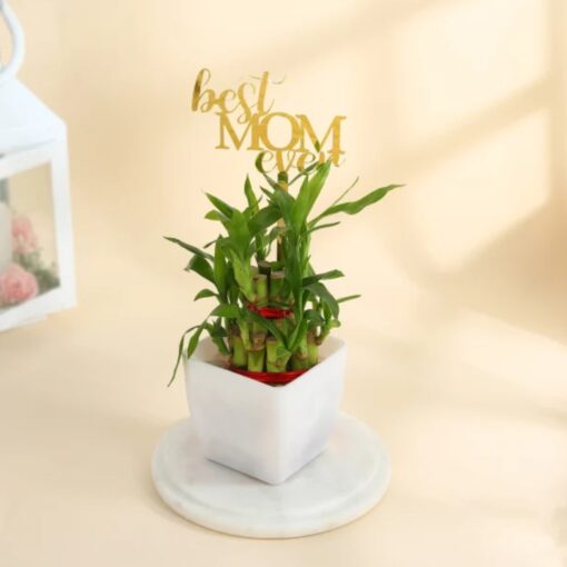 Evergreen Bamboo Mom's Charm featuring a gracefully arranged lucky bamboo plant, symbolizing enduring love, good fortune, and a heartfelt gift for Mom.
