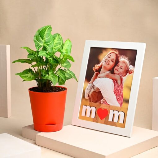 Syngonium & Cherished Moments gift set with vibrant Syngonium plant and personalized photo frame, beautifully arranged