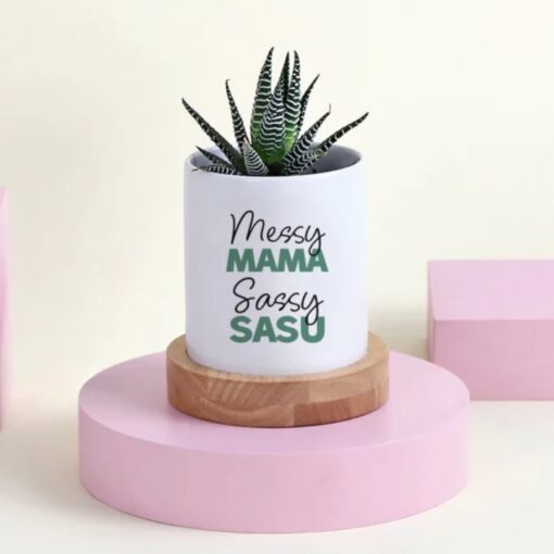 Haworthia Duo Mom's Planter featuring two different Haworthia succulents in a decorative planter, symbolizing a duo of luck and love, perfect for Mother's Day.