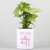 Loving Mom Syngonium Gift – Syngonium plant in colorful Meri Pyaari Maa mug, perfect for Mom