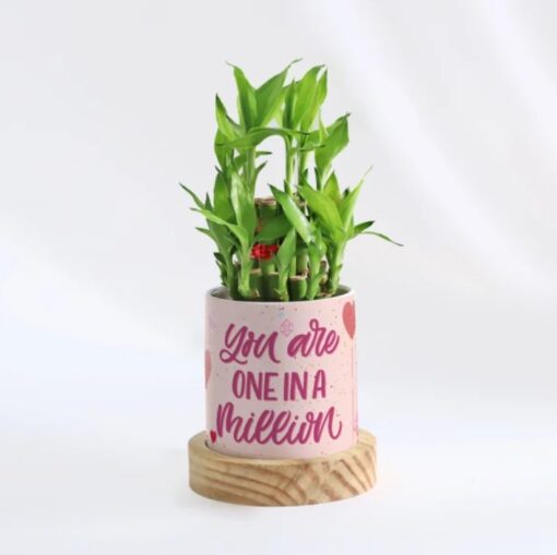 Mother's Day Bamboo Tower featuring two tiers of lush green bamboo stalks in an elegant pot, personalized with a loving message for Mom—perfect for a unique and meaningful Mother's Day gift.