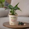 Mom's Little Peace Lily in a decorative pot, a serene and compact plant gift for Mother's Day