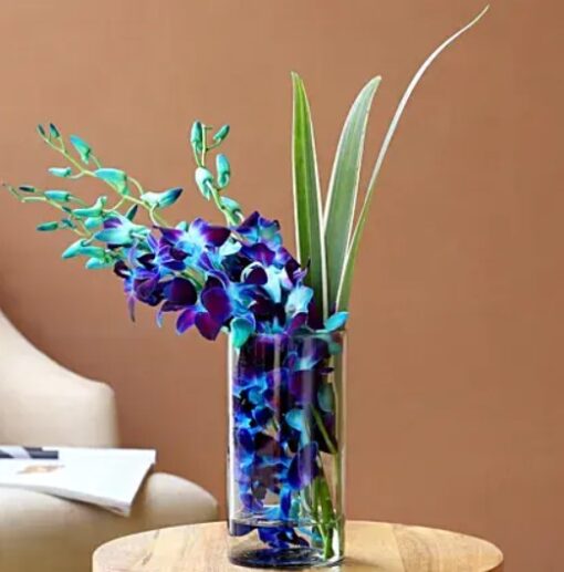 Elegant Orchids & Dandella Vase – blue orchids and green dracaena leaves in cylindrical glass vase