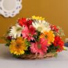 Colorful Gerbera Basket – mixed vibrant gerberas arranged in a decorative basket.