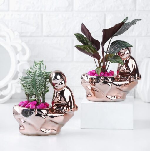 Tranquil Plant Set featuring two elegant indoor plants in decorative pots for home decor or gifting