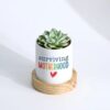 Mom's Serenity Succulent Set featuring a variety of lush succulents arranged in a stylish planter, perfect as a calming and elegant Mother's Day gift.