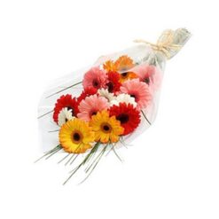 Stunning Mixed Gerbera Collection with vibrant multi-colored fresh gerbera daisies arranged beautifully.