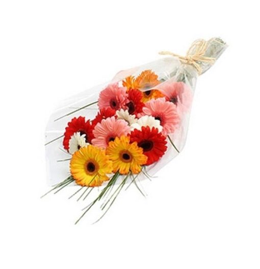 Stunning Mixed Gerbera Collection with vibrant multi-colored fresh gerbera daisies arranged beautifully.