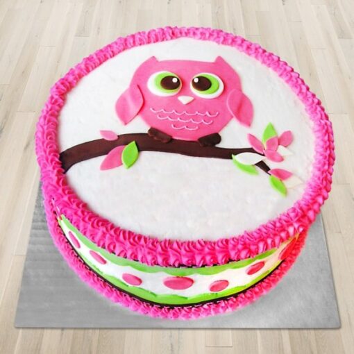 Cute Owl Themed Cake with colorful feathers and big owl eyes decoration.