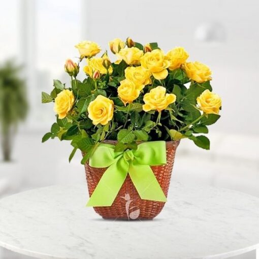 Sunny Yellow Rose Bouquet with vibrant fresh yellow roses arranged beautifully.