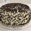 Soft Vanilla Chocochip Treat with moist vanilla cake and chocolate chips.