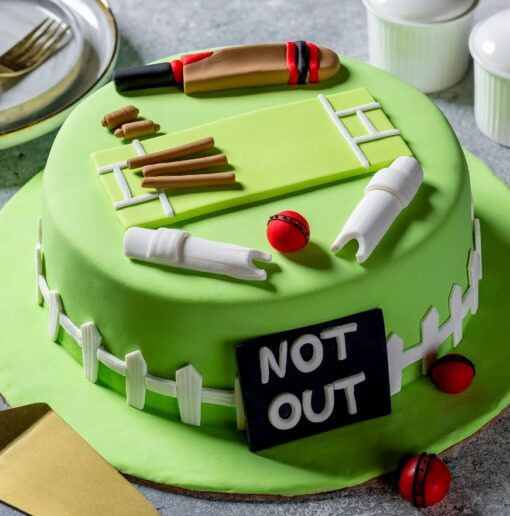 Chocolate Cricket Celebration Cake with cricket-themed decorations and rich chocolate frosting.