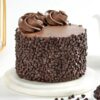 Chocolate Chip Truffle Delight with smooth chocolate truffle and crunchy chocolate chips.